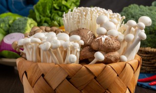 白玉菇繁殖方法 白玉菇的栽培工艺流程