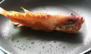 太平洋玫瑰鱼的烹饪方法（玫瑰鱼怎么养）