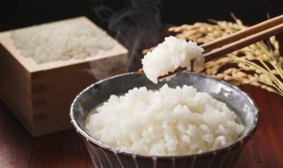 水蒸米饭怎么做 水蒸饭的做法及步骤窍门