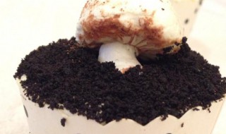 蘑菇蛋糕 蘑菇蛋糕的做法配方