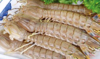皮皮虾蒸多长时间最好 皮皮虾的做法蒸几分钟就熟了