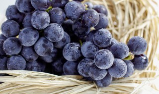 葡萄怎么做才能保鲜 葡萄怎么做才能保鲜呢