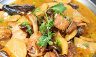 榛蘑炖鸡肉煲 榛蘑炖鸡肉煲汤的做法