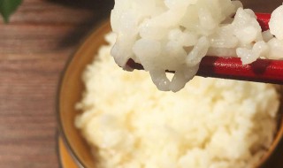 蒸酒米饭的做法视频 酒蒸米饭做法窍门