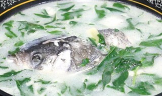 鱼头青菜汤 酸菜鱼头汤的做法