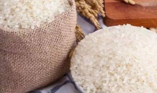 东北小町米属于什么米种 小町米和普通米的区别