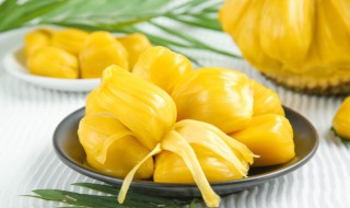 菠萝蜜的核能吃吗 榴莲蜜的核能吃吗