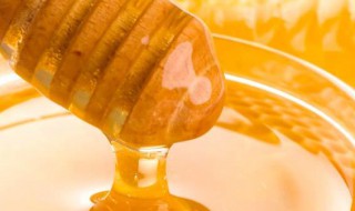 蜂蜜百合粉的功效与作用 蜂蜜百合