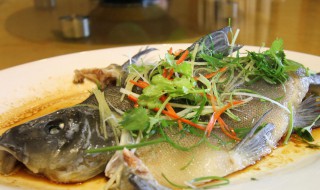 丁桂鱼怎么吃最有营养 丁桂鱼的正确食用方法