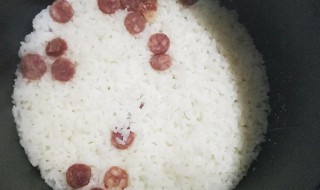 电饭锅蒸大米饭怎么做好吃窍门 电饭锅蒸大米饭方法