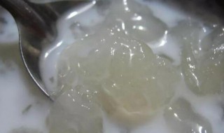 椰汁焖雪蛤膏