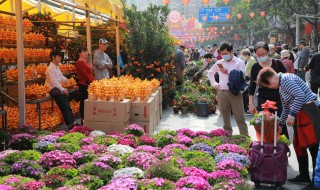 迷迭香花语是什么意思（迷迭香花语是什么意思呀）