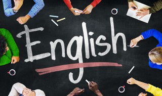 猪英语怎么写 猪英语怎么写怎么读
