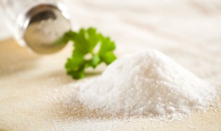 海盐的使用和功效 海盐的功效与作用及禁忌