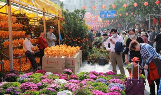 春天红色的植物有哪些（春天什么植物是红红的）