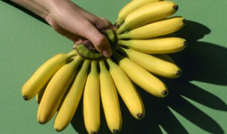 香蕉和西瓜能一起吃吗 吃香蕉和柿子可以一起吃吗