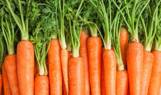 胡萝卜和什么一起炒最有营养