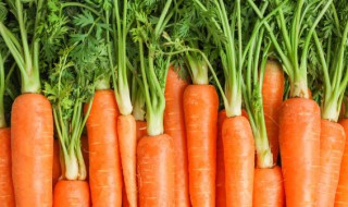 红薯和胡萝卜可以同食吗