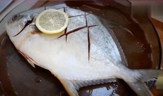 金鲳鱼怎么做好吃又简单视频 金昌鱼怎么做好吃