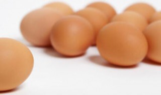 自己在家里怎么孵鸡蛋 自己在家里怎么孵鸡蛋最快