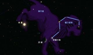 有关天龙座的星座传说及由来（有关天龙座的星座传说及由来英文）