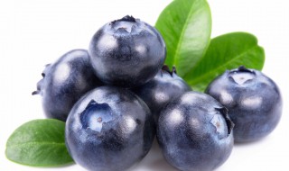 蓝莓有营养价值吗 蓝莓有营养吗?