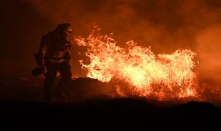 怎么在森林预防火灾 如何森林火灾预防措施