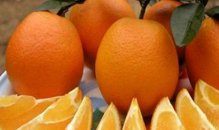 橘子是在哪个季节结果的 橘子是在什么时候什么季节成熟的