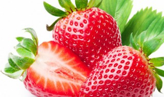 三月末的草莓是反季节的吗为什么 三月末的草莓是反季节的吗