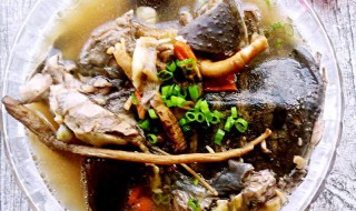 甲鱼肉和甲鱼汤哪个营养价值高 甲鱼肉和甲鱼汤哪个营养价值高些