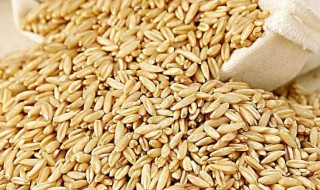 荞麦那些人群吃合适 荞麦适合什么体质的人吃