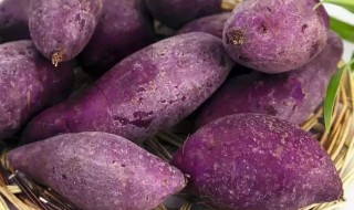 紫薯地瓜有什么功效 紫薯地瓜有什么功效和禁忌