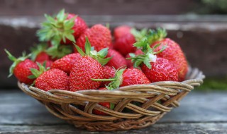 草莓什么季节的食物最好 草莓什么季节的食物