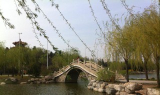 天津河西区有什么好玩的景点 天津河西区有什么好玩的景点推荐