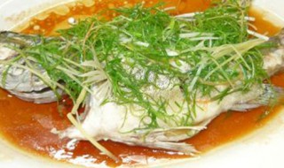 桂花鱼的各种做法 桂花鱼怎么做最营养价值