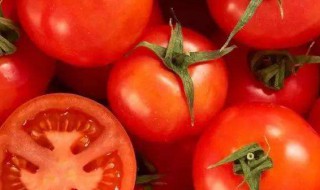 西红柿美白吗 西红柿有美白的功效吗