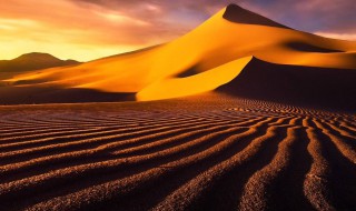如何在沙漠中辨别方向 如何在沙漠中辨别方向的方法
