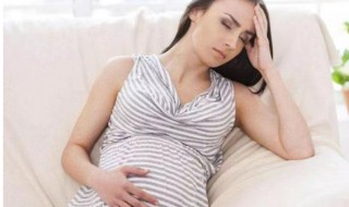 孕妇孕妇头晕犯困怎么回事 孕妇头晕嗜睡是什么原因
