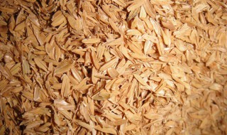 稻壳可以做什么肥料使用 稻壳可以做什么肥料