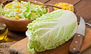 清爽减脂蔬菜沙拉的做法 蔬菜沙拉减肥的做法