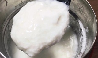 焖烧罐自制酸奶的做法 焖烧罐自制酸奶