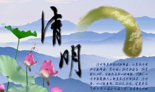 清明节吃什么蔬菜养生 清明节吃什么蔬菜养生好