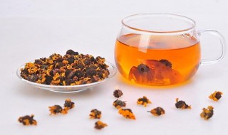昆仑雪菊蜂蜜茶的做法大全 昆仑雪菊蜂蜜茶的做法