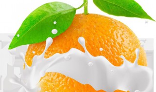 橙子牛奶制作方法 橙子牛奶怎么做冰棒