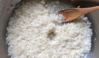 用米酒做花肥的方法 米酒做肥料养花可以吗