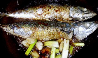 饭店鲅鱼做法 鲅鱼年夜饭怎么做