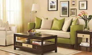 木质沙发颜色搭配技巧图片 木质沙发颜色搭配技巧