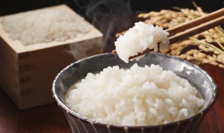 焖米饭好吃方法 焖米饭好吃方法有哪些
