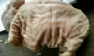 猪肚子腌制 猪肚皮腌制方法
