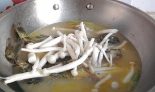 干鸡腿菇怎么做汤 干鸡腿菇怎么做汤才好喝